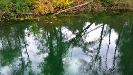 Imágenes-Aéreas-De-Drones-4k-De-La-Costa-Del-Lago-De-Otoño