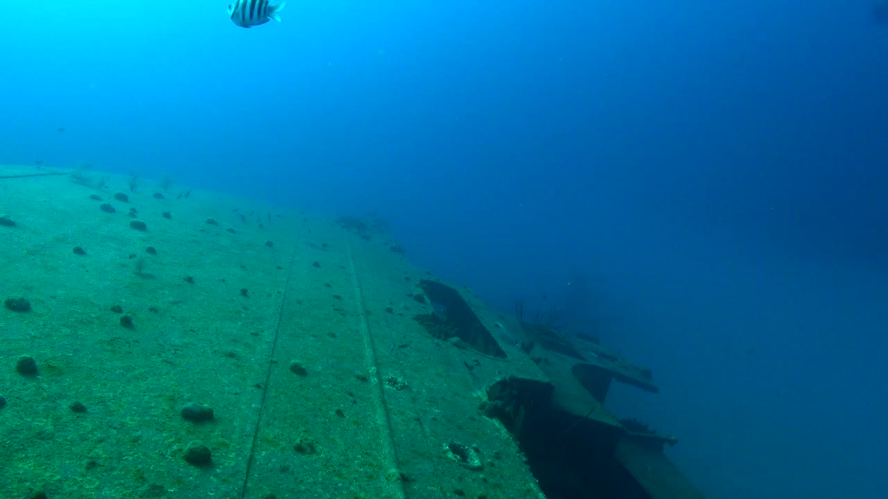 힐마 후커 포트 사이드