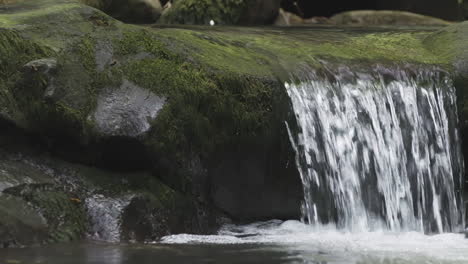 small waterfall cascading over rocks in a forest