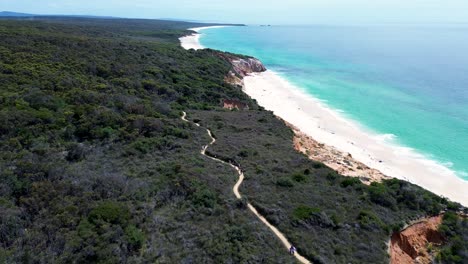 Drohnenaufnahmen-Aus-Der-Luft,-Menschen,-Die-Entlang-Der-Küste-Laufen,-Pinnacles-Trail,-Wanderschleife,-Buschland,-Küstenstrand,-Reisen,-Tourismus,-Landschaft,-Eden,-Merimbula,-Australien,-4k