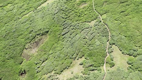 Vista-Aérea-Del-Paisaje-De-La-Tundra-|-Monte-Bierstadt,-Colorado