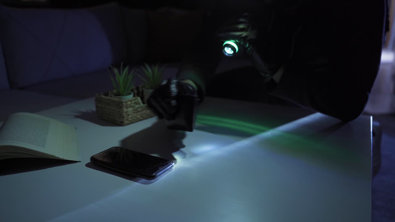 theft. The thief breaks into someone else's house to rob.