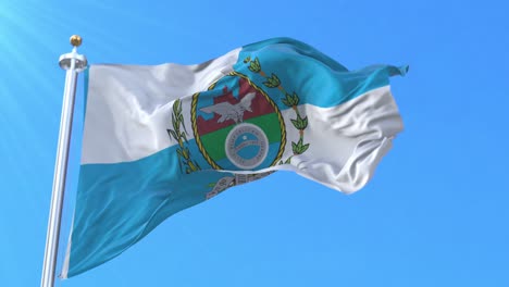 rio de janeiro state flag, brazil. loop