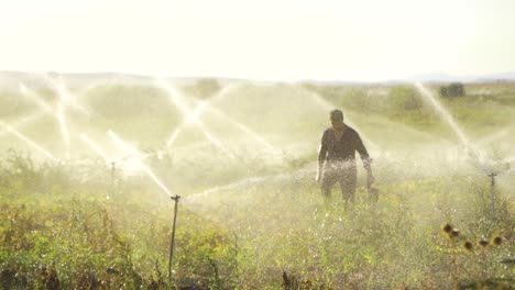 irrigation system sprinkler system in slow motion.