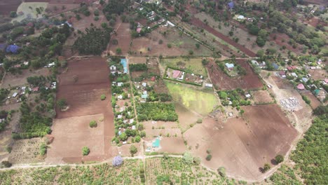 Top-down-view-of-forest,-woodland-aerial-shot