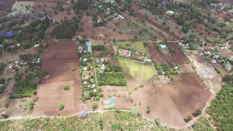 top down view of forest, woodland aerial shot
