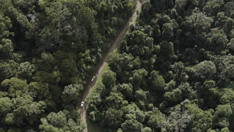 disparo de dron de 4k de dos autos blancos conduciendo en un camino de tierra en un bosque verde y denso en australia