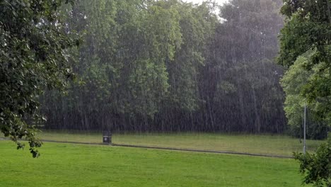 Heavy-shower-down-pour-rain-over-public-green-space-park-and-woodland-trees