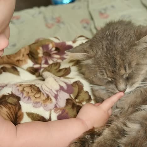 cute baby girl with cat