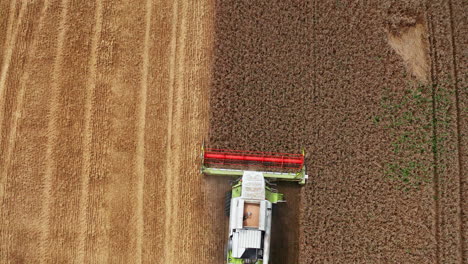 modern combine goes by the field and cuts the ripe crops. season of gathering bread harvest on sunny day. birds eye view.