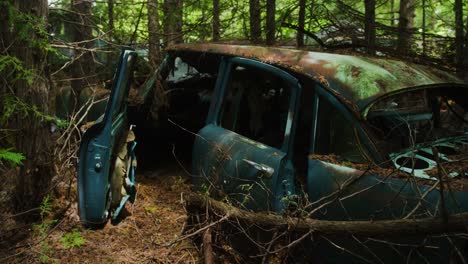 el casco de un coche abandonado de los años 50 con musgo y ramas por todas partes pudriéndose