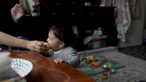adorable 8 month old indian baby being fed orange held by mother as he stands beside table indoors