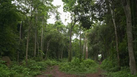 La-Fábrica-De-Nilakuti-O-índigo-Construida-Durante-El-Dominio-Británico-Hoy-Se-Encuentra-En-Un-Estado-Ruinoso-Y-Abandonado-En-El-Bosque