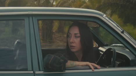 woman driving a vintage car in a palm tree plantation