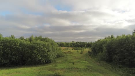 aerial view rising above lush green forest woodland open space park trees panning right