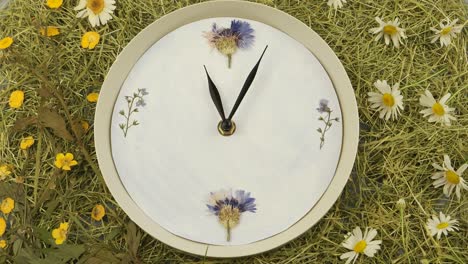 clock against the background of a dry green grass and wildflowers