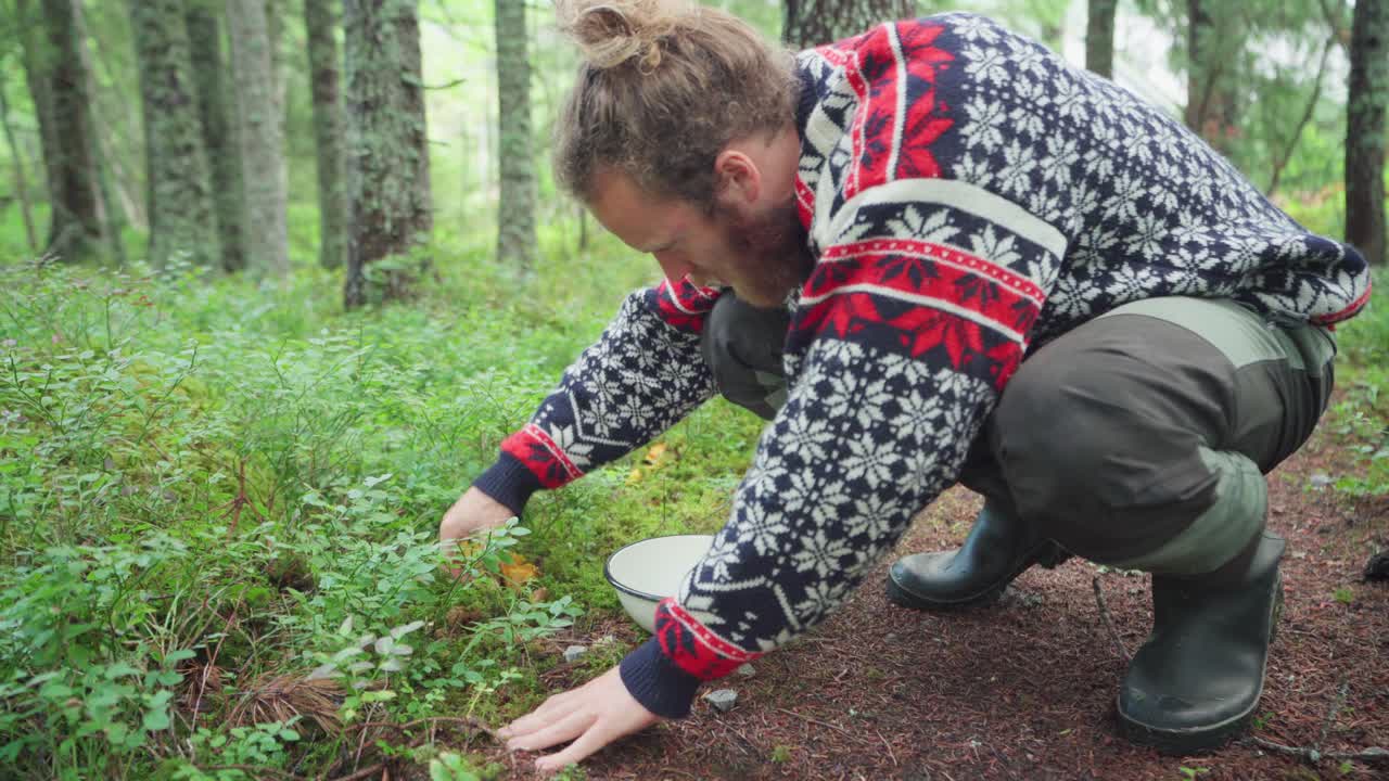 점심으로 숲에서 야생 식용 버섯을 따는 스웨터를 입은 젊은 남자