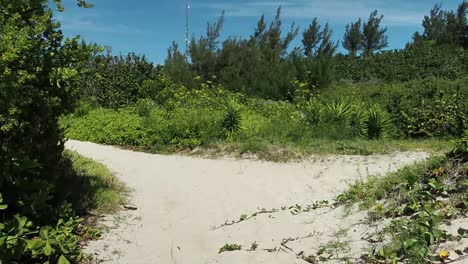 Strandähnliche-Pfade,-Die-Mit-Den-Stränden-Der-Südküste-Von-Bermuda-Verbunden-Sind