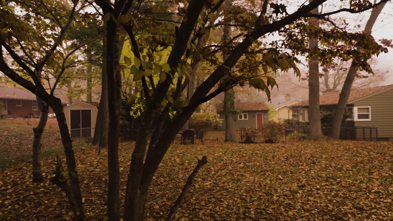 가을 동안 교외 마당에 쓰러진 나무