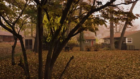 Taló-árboles-En-Un-Patio-Suburbano-Durante-El-Otoño