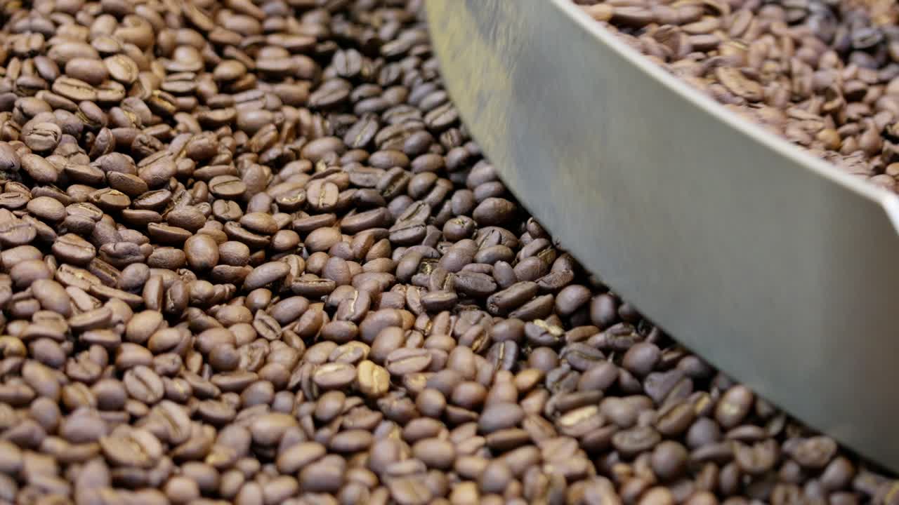 Discover the intricate journey of coffee beans from harvest to aroma highlighted in stunning detail.