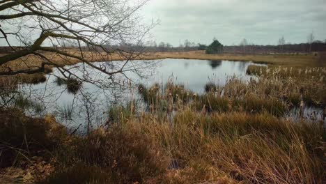 Hermoso-Lago-Entre-Dunas-De-Hierba-Y-Brezales-Durante-El-Invierno,-Total-Fijo