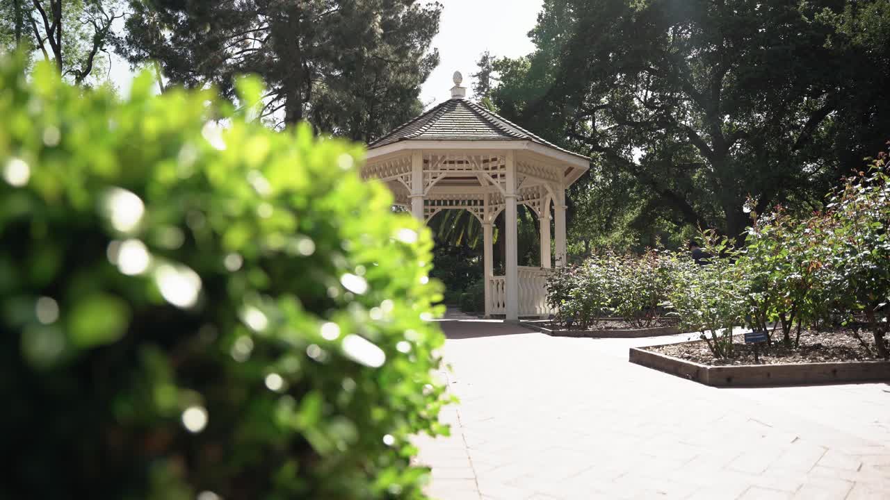 중앙 공원과 자연 속의 전망대