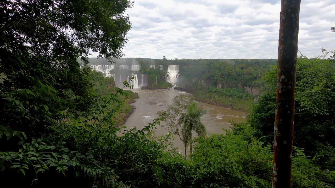 Cataratas do Iguaçu no lado brasileiro enquadradas por uma árvore da floresta