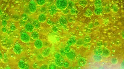 abstract macro of green and yellow liquid bubbles