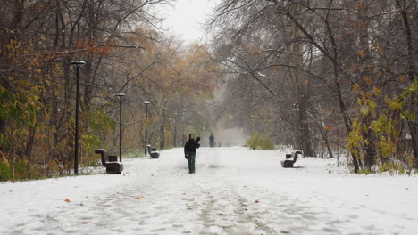 someone walking on snow-covered park path, lamp posts line path, early winter with fallen leaves, serene snowfall scene, empty benches on sides, trees with remaining leaves