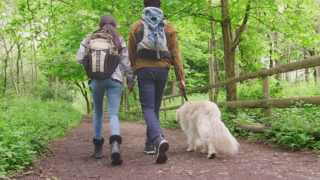 rear view of young couple holding hands as they hike along path through trees in countryside with pet golden retriever dog on leash - shot in slow motion