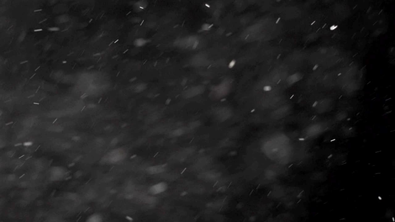 크리스마스 진짜 무거운 강한 눈송이 위에서 눈이 떨어지는 겨울 휴가 xmas with stars 검은색에 완벽한 루프