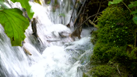 Stream-water-flow-in-Plitvice-Lakes,-Croatia.