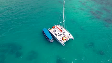 top down aerial view of catamaran boat in pacific ocean near hawaii