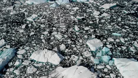 icebergs and ice pieces in glacial water under glacier in polar circle, alaska