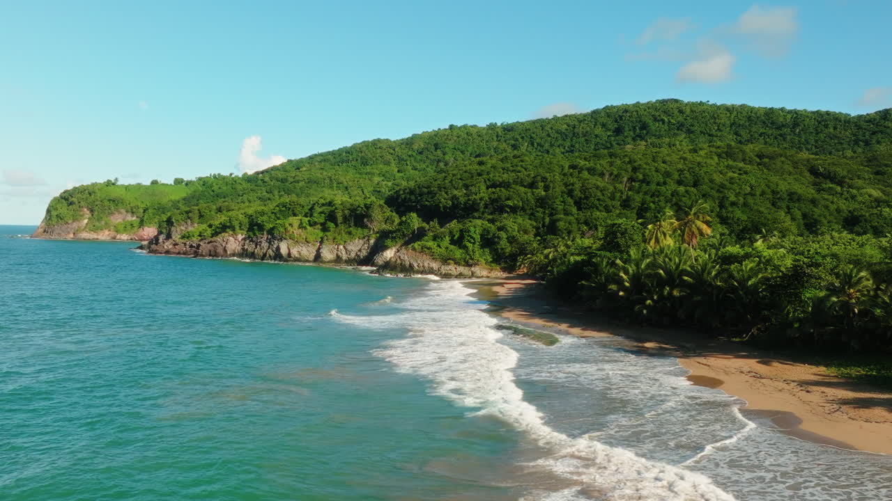 Drone flying sideways away from a tropical Guadeloupe beach, showing cliffs, palm trees, and lush green canopy with no human presence