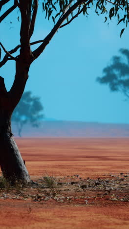 un árbol solitario en un campo de tierra roja