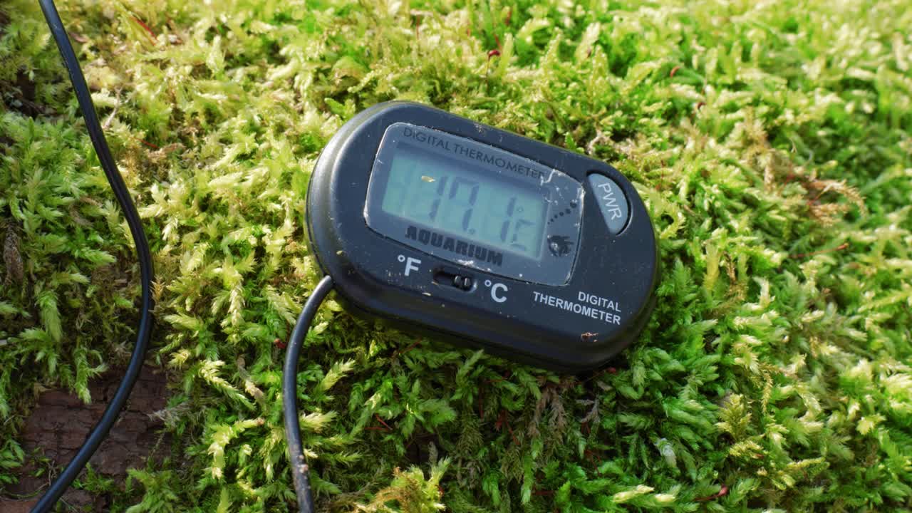 Digital thermometer on moss showing temperature in a natural, green environment