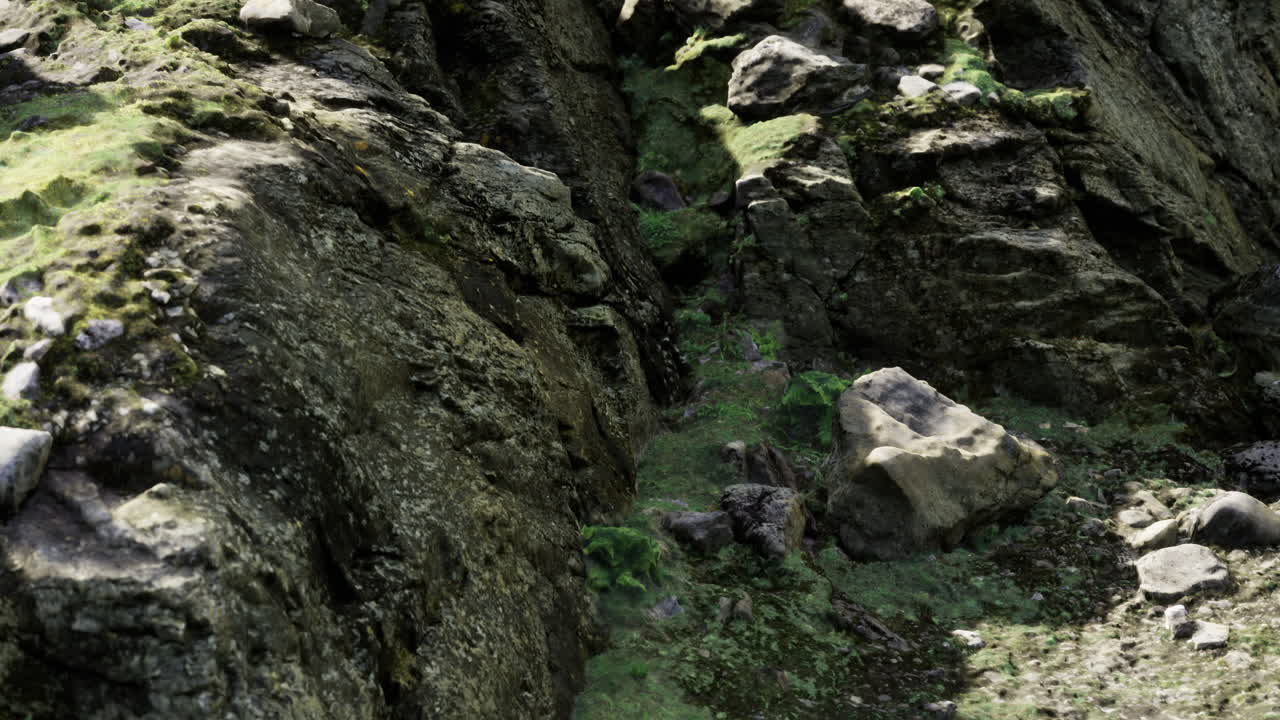 Rocky Cliff with Moss