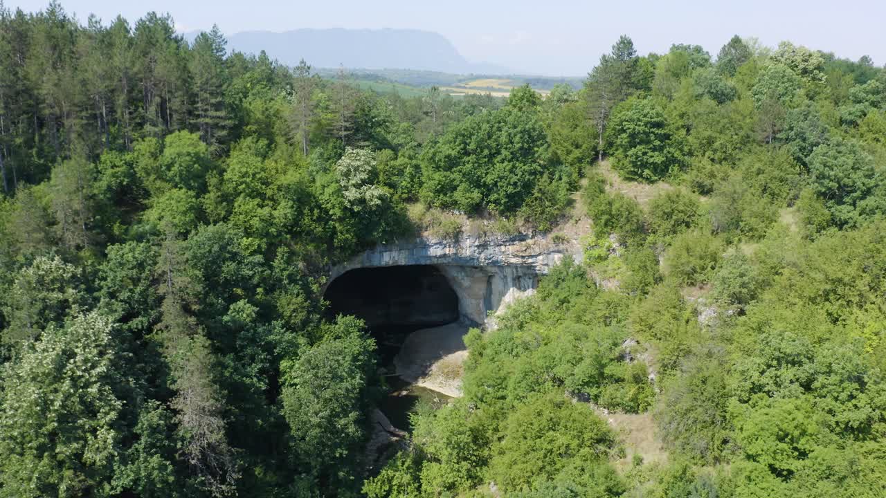 Cave in a lush forest landscape