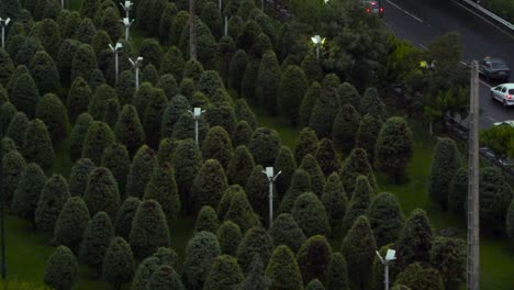 Trees-Driving-Down-Sunset-Blvd-Tehran-Iran---Night-road,-highway