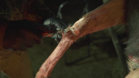 hombre con guantes desollando la pierna de un ciervo muerto con un cuchillo de cazador