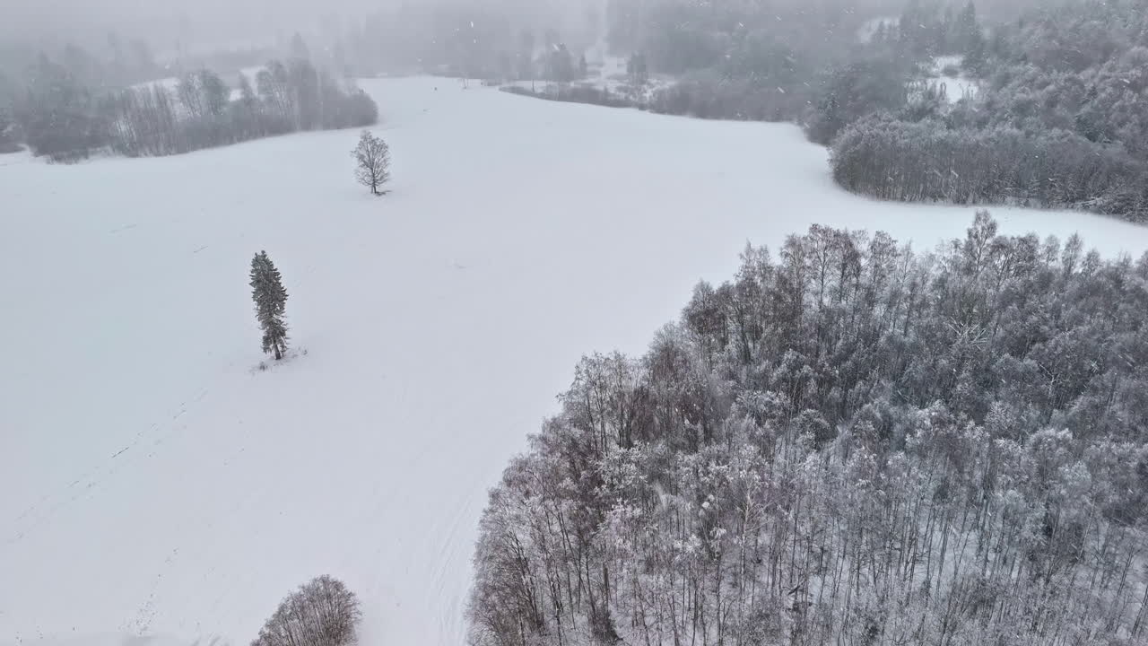Aerial of snow covered open fields and forest, soft white terrain and icy edges, snowstorm blustering wind