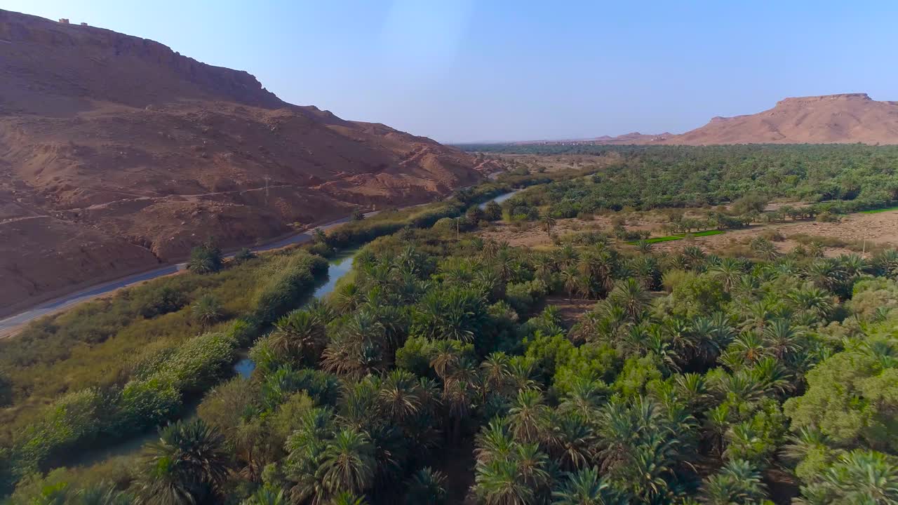 Sorvolo aereo di una piantagione di palme tropicali accanto a un fiume tranquillo, una strada nel deserto e montagne in Marocco durante una giornata di sole e cielo azzurro.