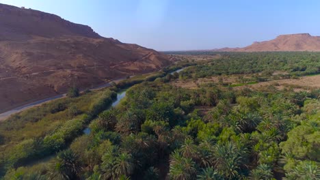 aerial flyover tropical palm tree plantation beside tranquil river, desert road and mountains in morocco during sunny day and blue sky