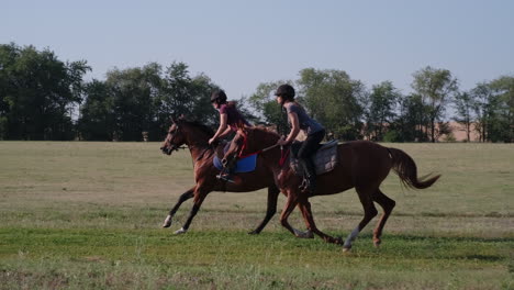 women riding horses in a field