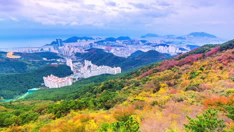otoño en la ciudad de busan paisaje urbano de corea del sur