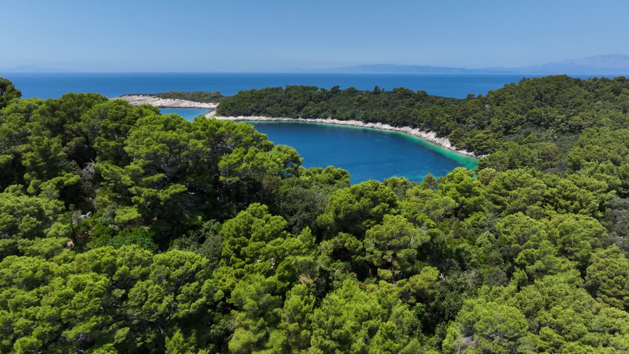 Drone ascending over dense green forest to reveal deep blue lagoon on island of Mljet, Croatia