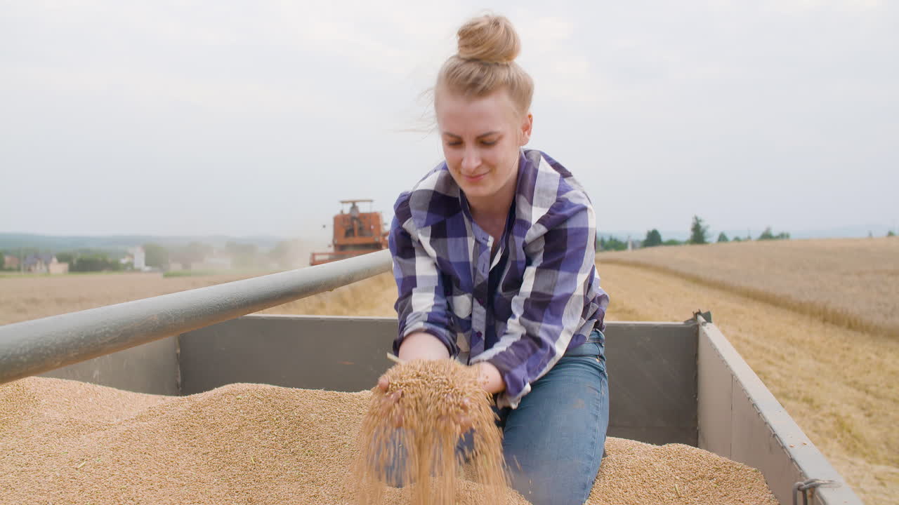 зерна пшеницы в руках фермера сельское хозяйство 10