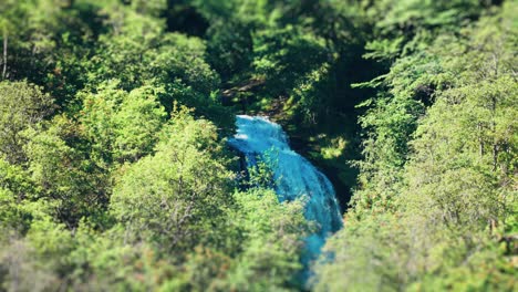 miniatuized waterfall on the forest-covered, green, steep cliffs of the naeroy fjord